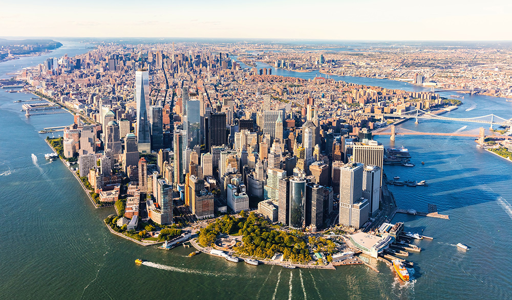 NY Office Graphic Collection Law